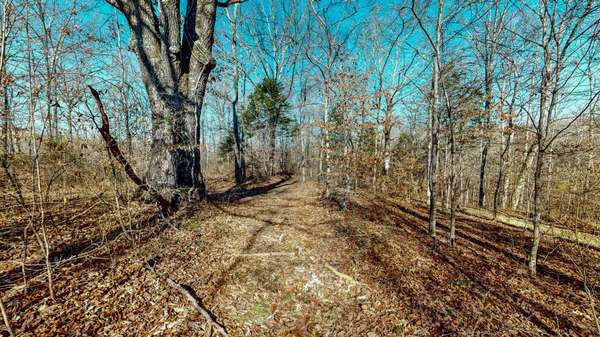 0 Opossum Hollow Rd, Primm Springs, TN 38476
