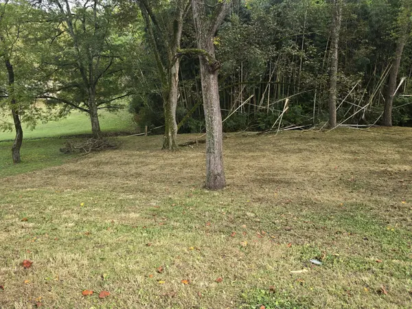 267 Graylynn Dr, Nashville, TN 37214