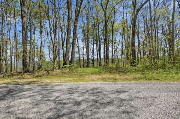 0 Green Road, Beechgrove, TN 37018