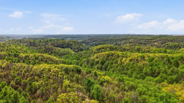 0 Green Road, Beechgrove, TN 37018
