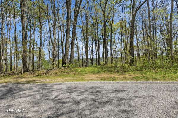 0 Green Road, Beechgrove, TN 37018