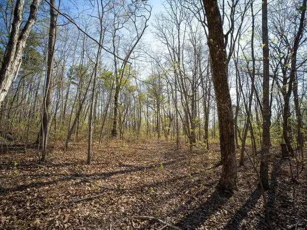 3916 Cummings Road, Chattanooga, TN 37419