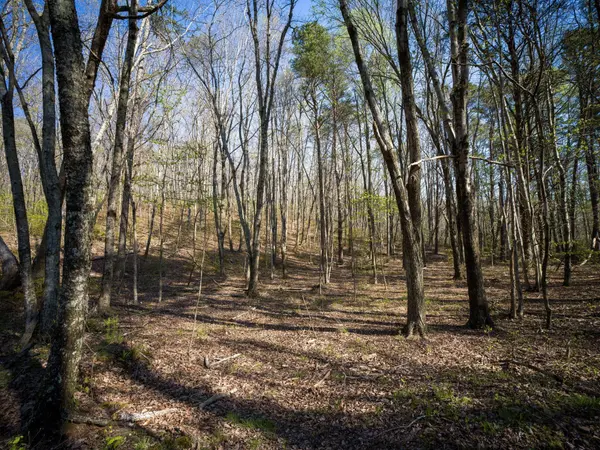 3916 Cummings Road, Chattanooga, TN 37419