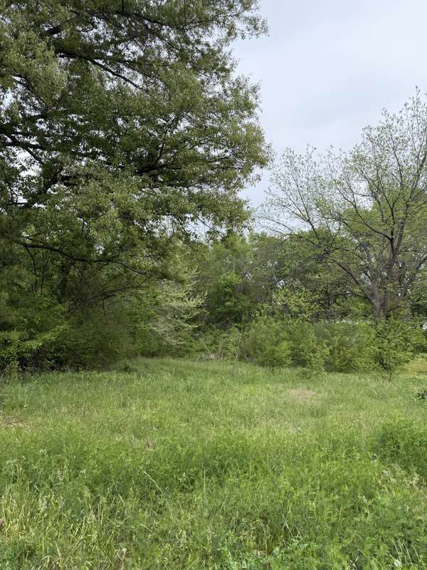 251 Highway 45 #S, Bradford, TN 38316