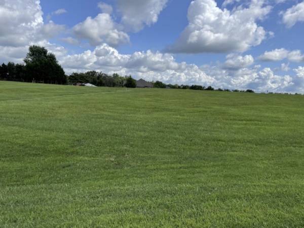 0 hills dr, Hillsboro, TN 37342