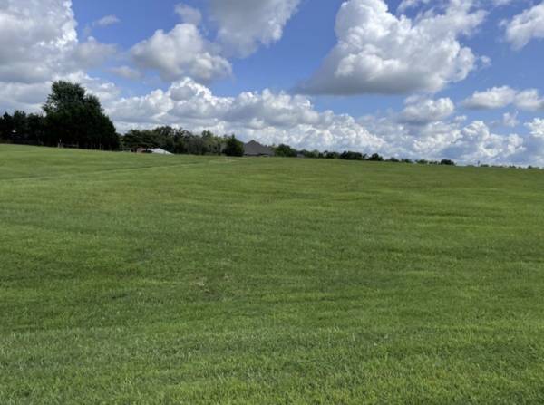 0 Hills Dr, Hillsboro, TN 37342
