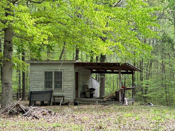 0 Elkhorn Rd, Springville, TN 38256