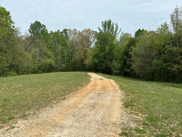 0 Elkhorn Rd, Springville, TN 38256