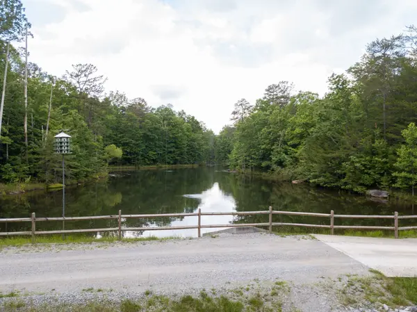 0 N Rim Dr, Coalmont, TN 37313