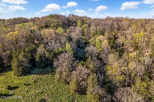 1624 Bartlett Hollow Rd, Petersburg, TN 37144