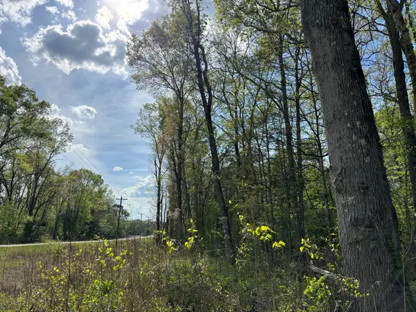 0 Streaming Water Loop, Clifton, TN 38425