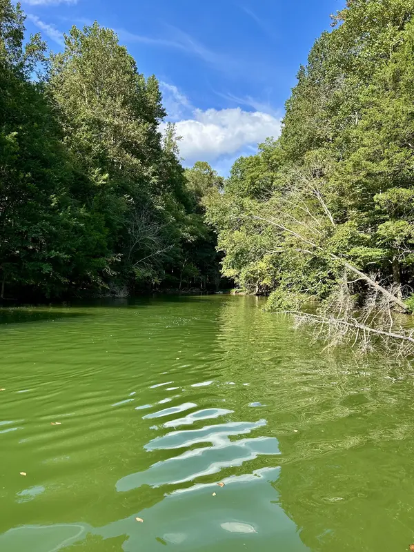 190 JD Lane, Lynchburg, TN 37352