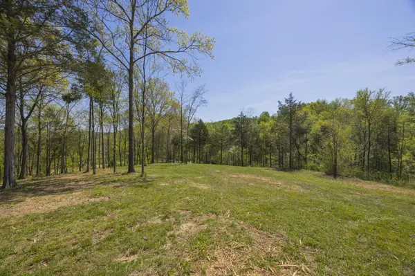 1 Johnson Hollow Road, Thompsons Station, TN 37179