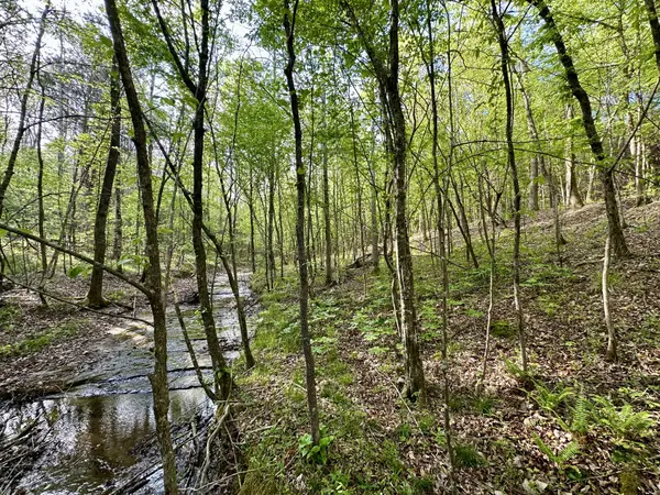 828 McCord Hollow Rd, Hohenwald, TN 38462