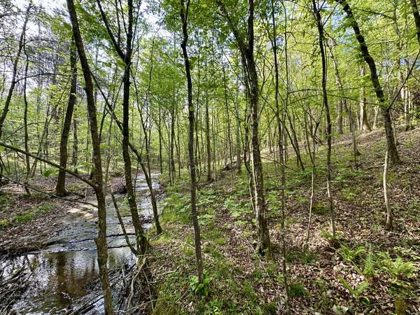 828 McCord Hollow Rd, Hohenwald, TN 38462