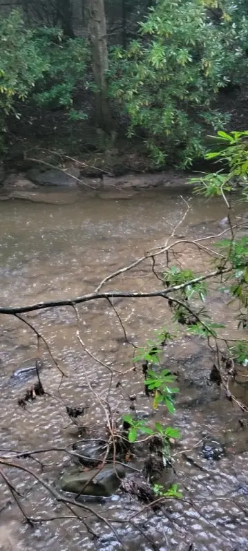 0 Prong Of Clear Fork, Jamestown, TN 38556