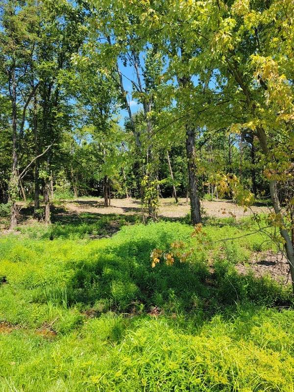 204 Vandy Cir, Sparta, TN 38583