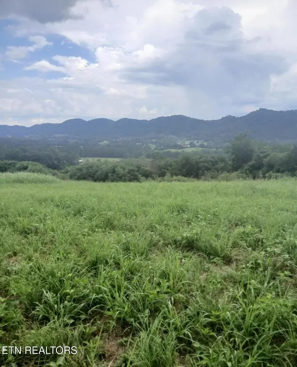 305 Race Track Rd, Rogersville, TN 37857