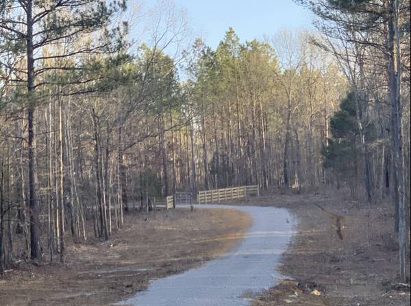 2 Summertown Hwy, Summertown, TN 38483