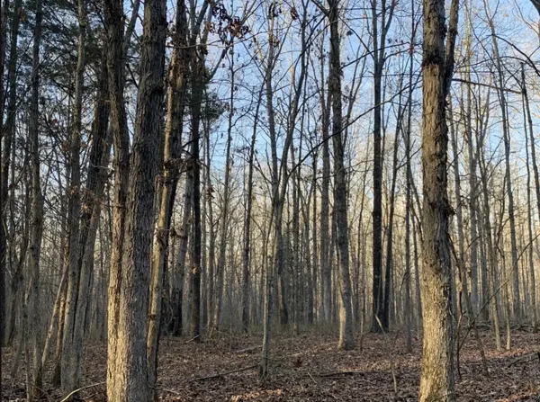 2 Summertown Hwy, Summertown, TN 38483