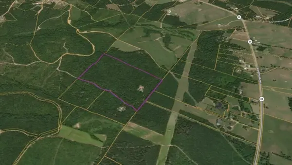 1 Summertown Hwy, Summertown, TN 38483