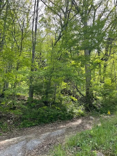 0 Bruer Dr, Smithville, TN 37166