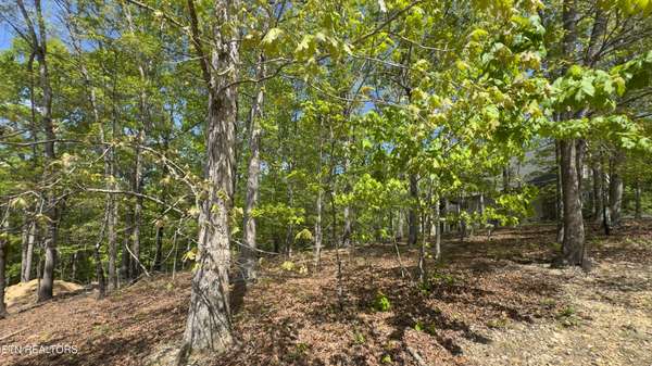 2085 Old Dogwood Tr, Loudon, TN 37774