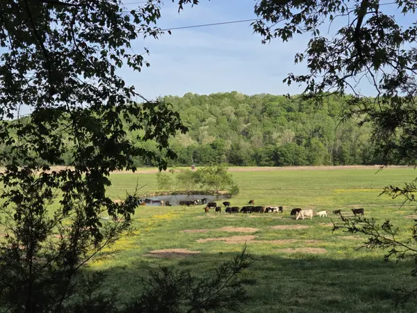 0 Red Bank Road, Lobelville, TN 37097