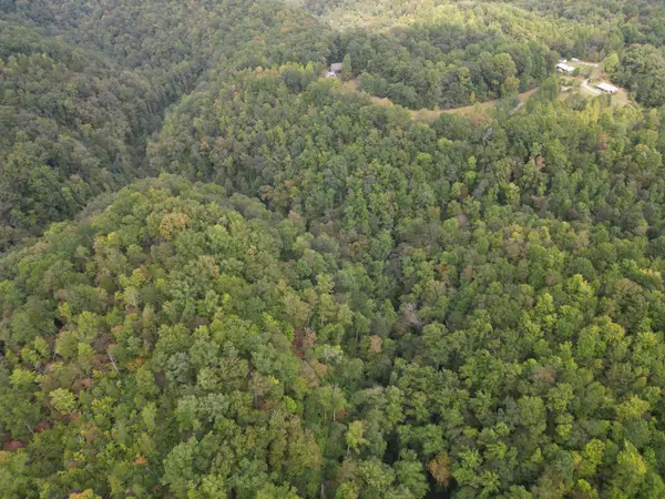0 Eagle Creek Rd Old Eagle Creek, Smithville, TN 37166