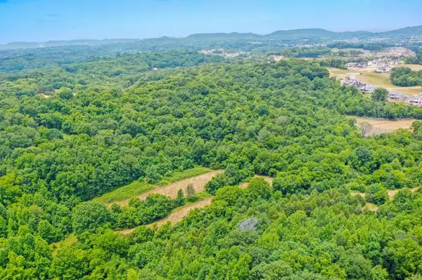 6492 Arno College Grove Rd, College Grove, TN 37046