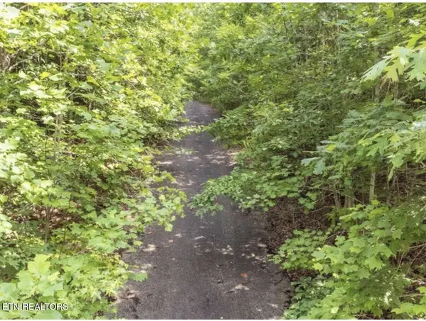 228 Crystal Springs Rd, Rockwood, TN 37854
