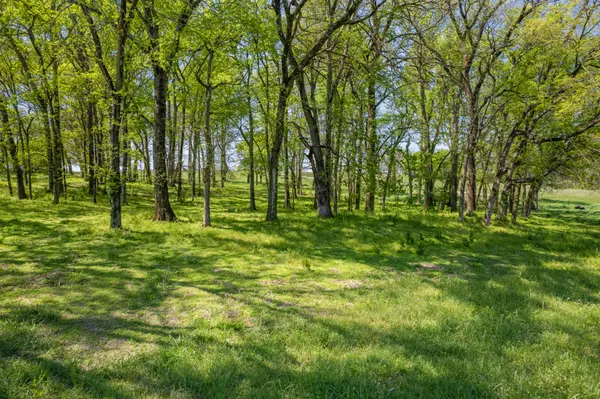 4 Old Zion Rd, Columbia, TN 38401