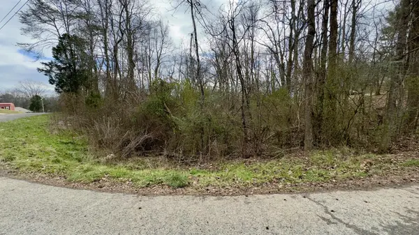 0 Adams Street, Spring City, TN 37381