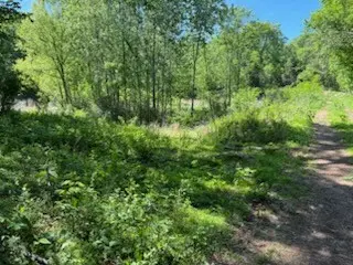 0 Murphy Lane, Culleoka, TN 38451