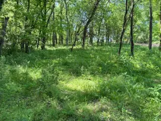 0 Murphy Lane, Culleoka, TN 38451
