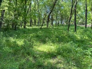 0 Murphy Lane, Culleoka, TN 38451