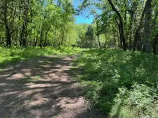 0 Murphy Lane, Culleoka, TN 38451