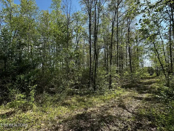 105 Johnson Hollow Lane, Greeneville, TN 37745