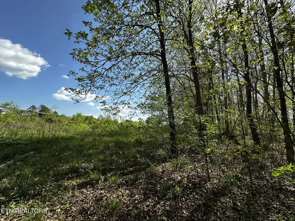 105 Johnson Hollow Lane, Greeneville, TN 37745