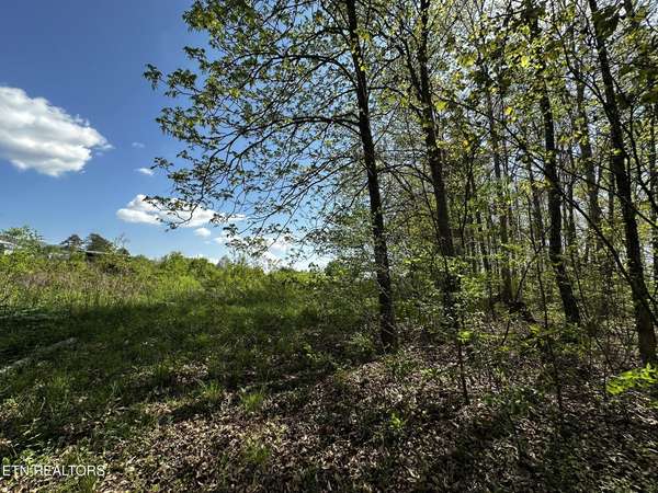 105 Johnson Hollow Lane, Greeneville, TN 37745