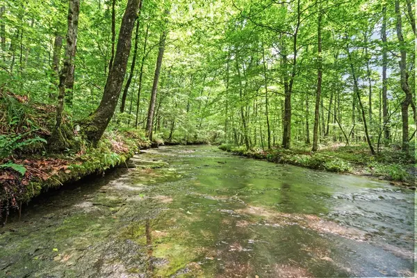 185 Ravenridge Rd, Summertown, TN 38483