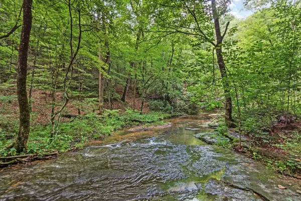 185 Ravenridge Rd, Summertown, TN 38483