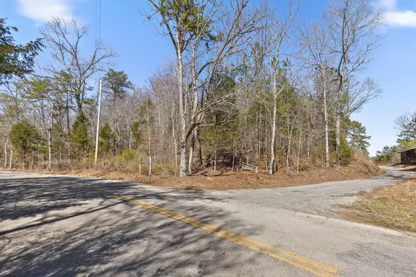 0 Andy Thomas Rd Road, Dayton, TN 37321
