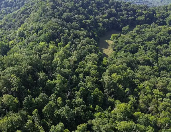 0 Hackett Hollow Ln, Pleasant Shade, TN 37145