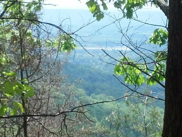 0 Sequatchie Mountain Road, Sequatchie, TN 37374