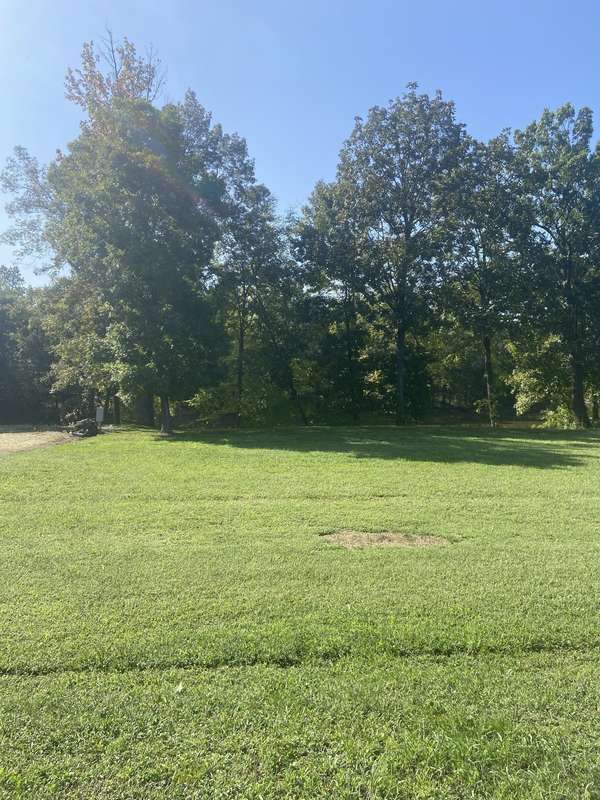 390 Duck Blind Rd, Clifton, TN 38425
