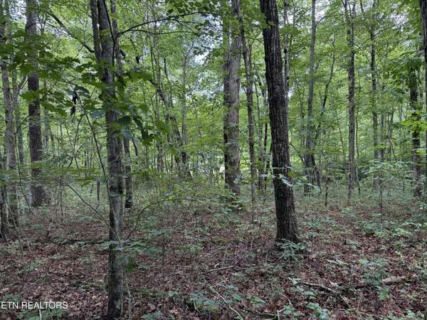 0 Icy Cove Tr, Monterey, TN 38574