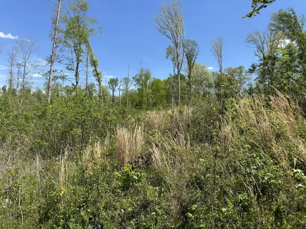 0 Murrell Rd, Dickson, TN 37055