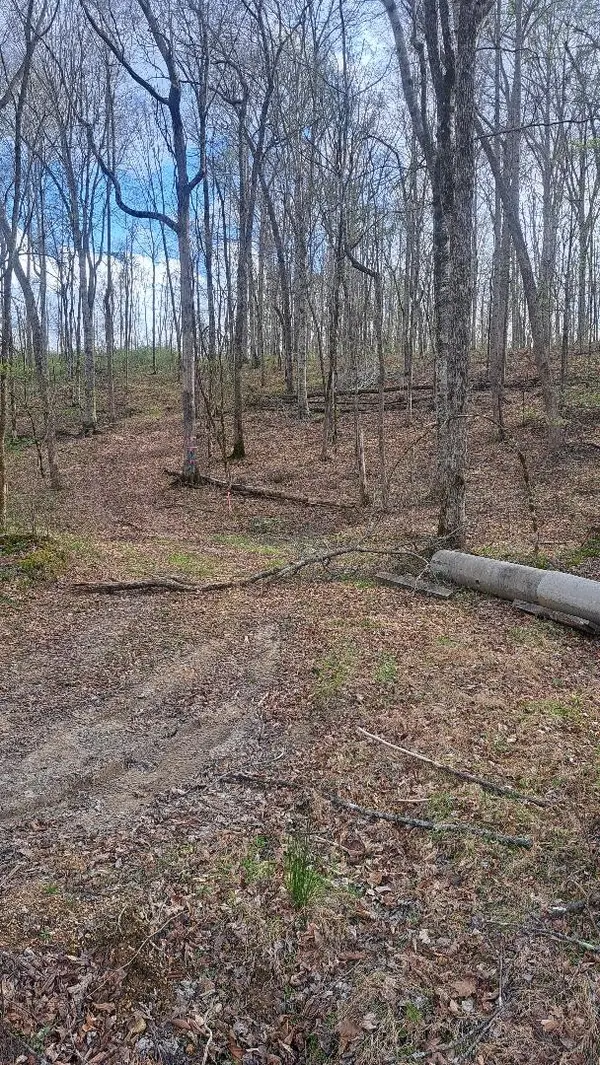 0B Napier Rd, Hohenwald, TN 38462