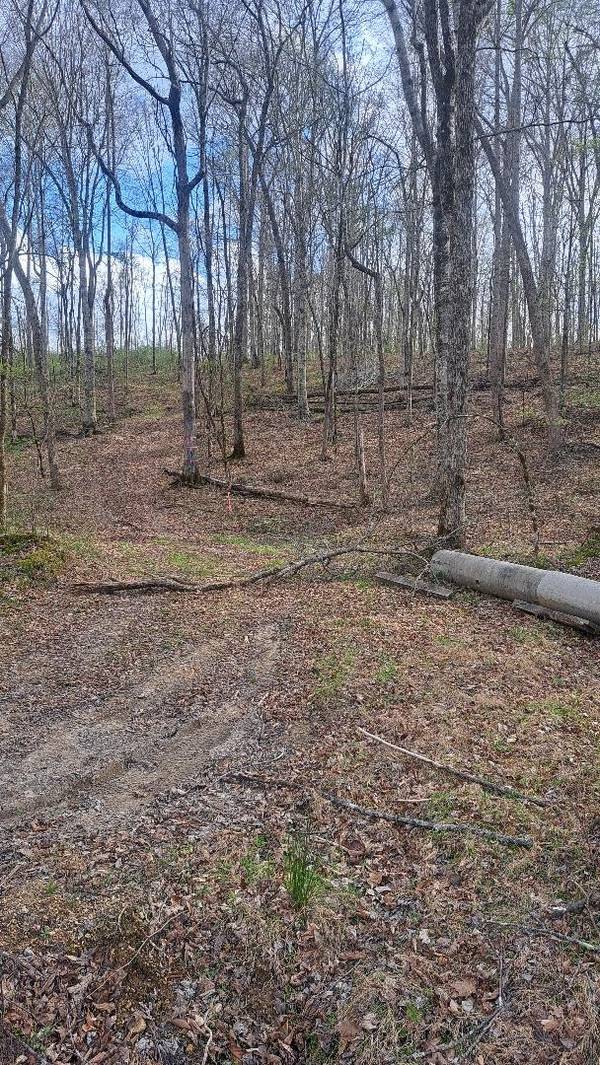 0B Napier Rd, Hohenwald, TN 38462